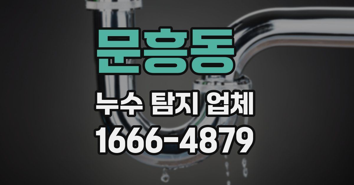 문흥동 누수 탐지 업체