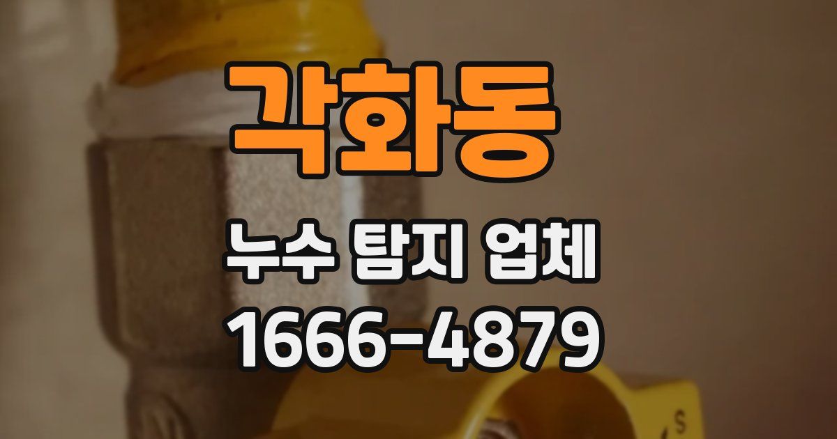 각화동 누수 탐지 업체