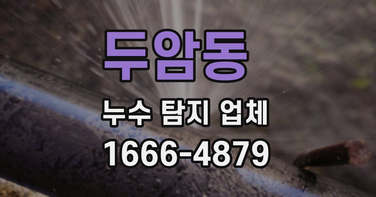 두암동 누수 탐지 업체
