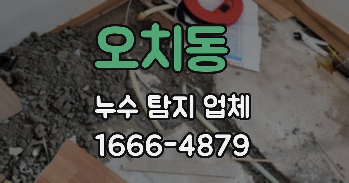 오치동 누수 탐지 업체