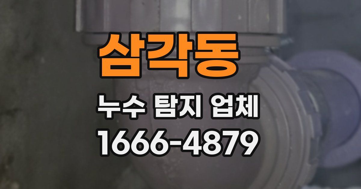 삼각동 누수 탐지 업체