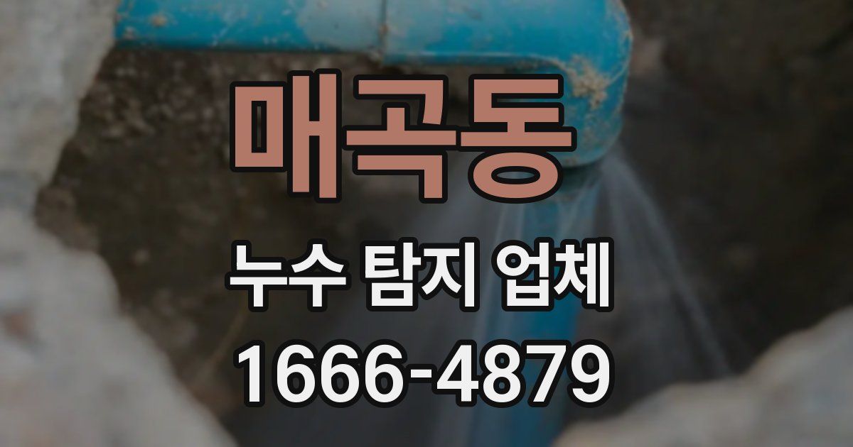 매곡동 누수 탐지 업체