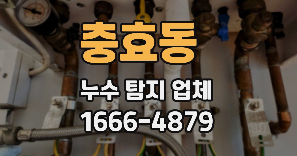 충효동 누수 탐지 업체