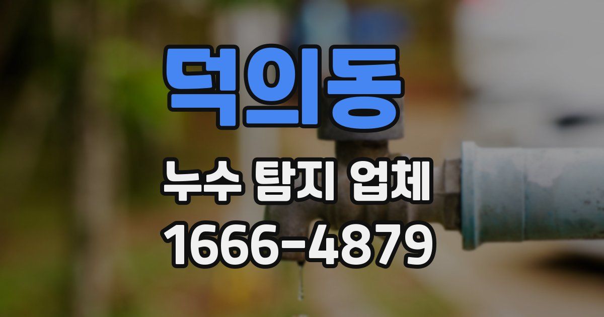 덕의동 누수 탐지 업체