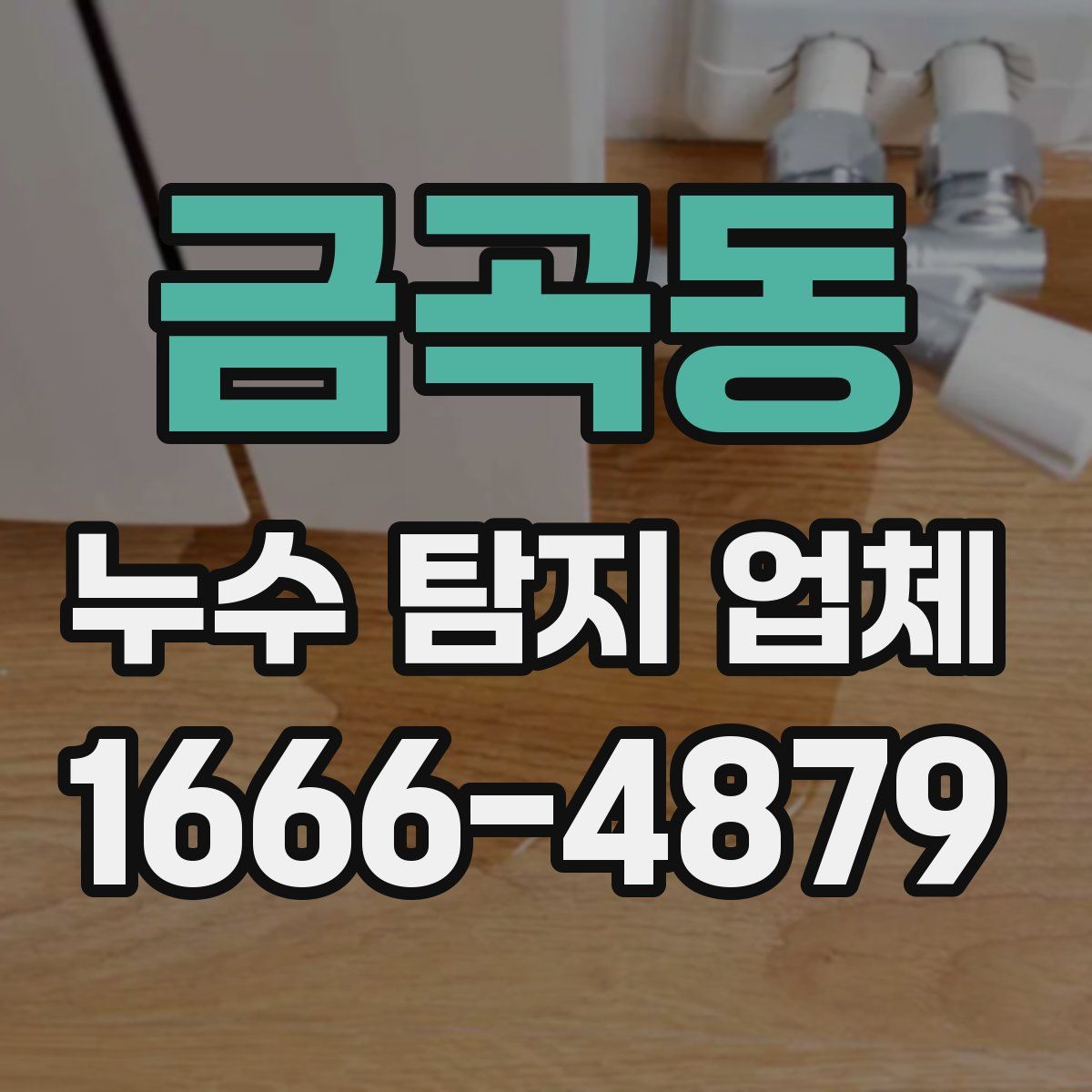 금곡동 누수 탐지 업체