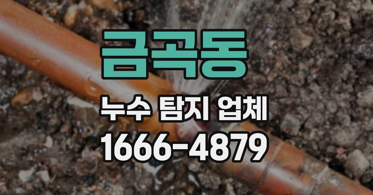 금곡동 누수 탐지 업체