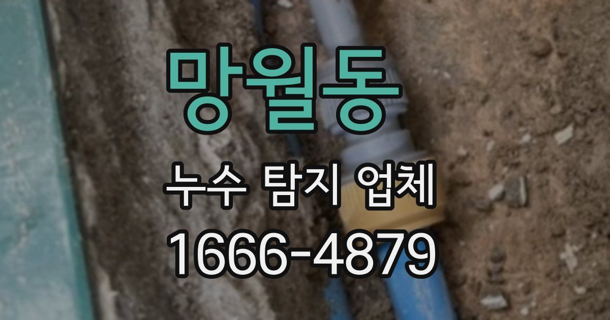 망월동 누수 탐지 업체