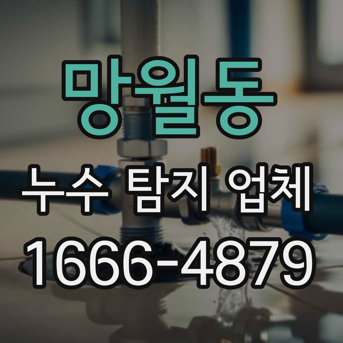 망월동 누수 탐지 업체