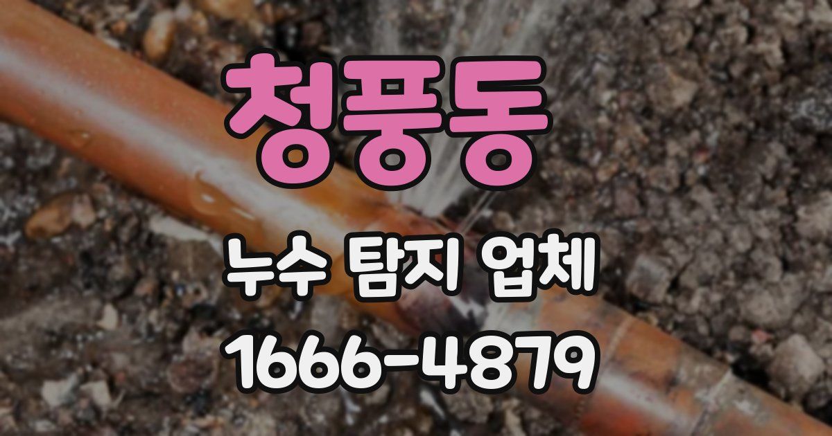 청풍동 누수 탐지 업체