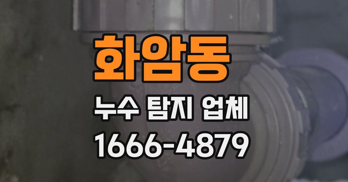 화암동 누수 탐지 업체