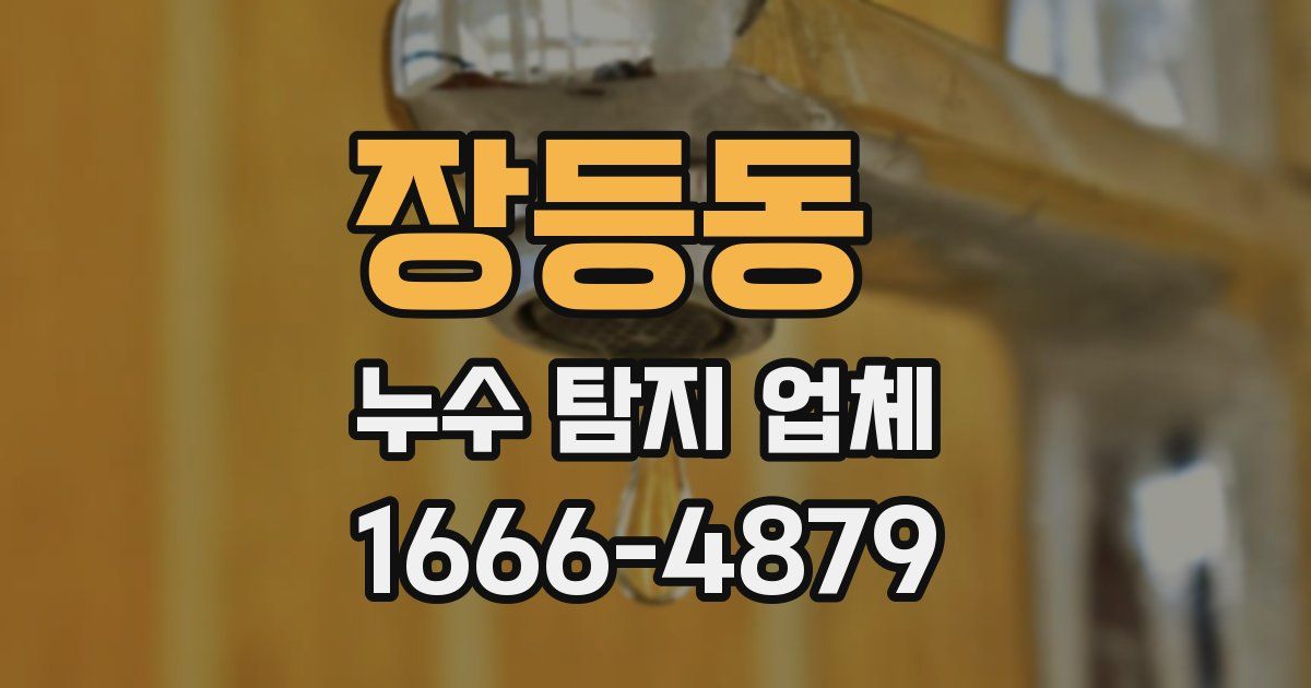 장등동 누수 탐지 업체
