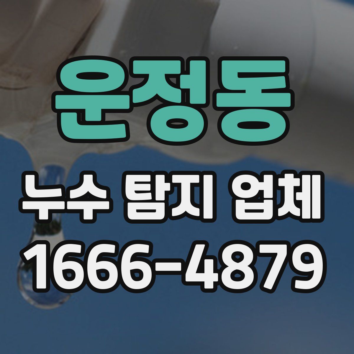 운정동 누수 탐지 업체