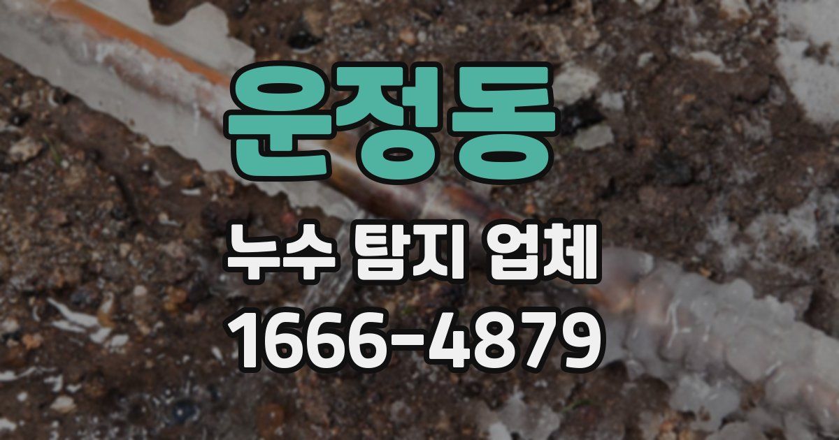 운정동 누수 탐지 업체