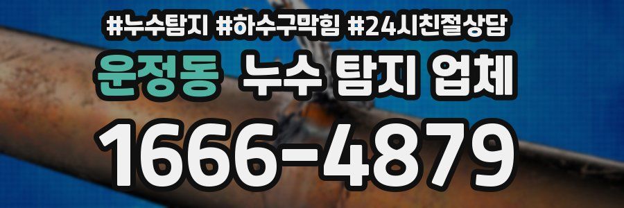 운정동 누수 탐지 업체