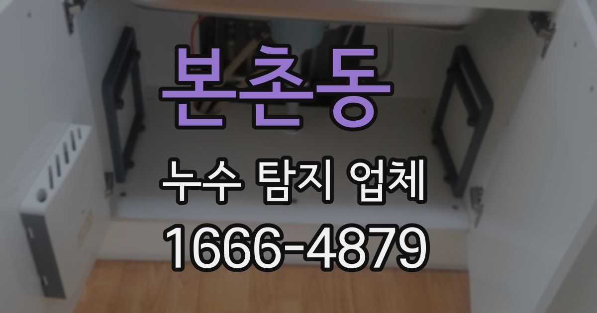 본촌동 누수 탐지 업체