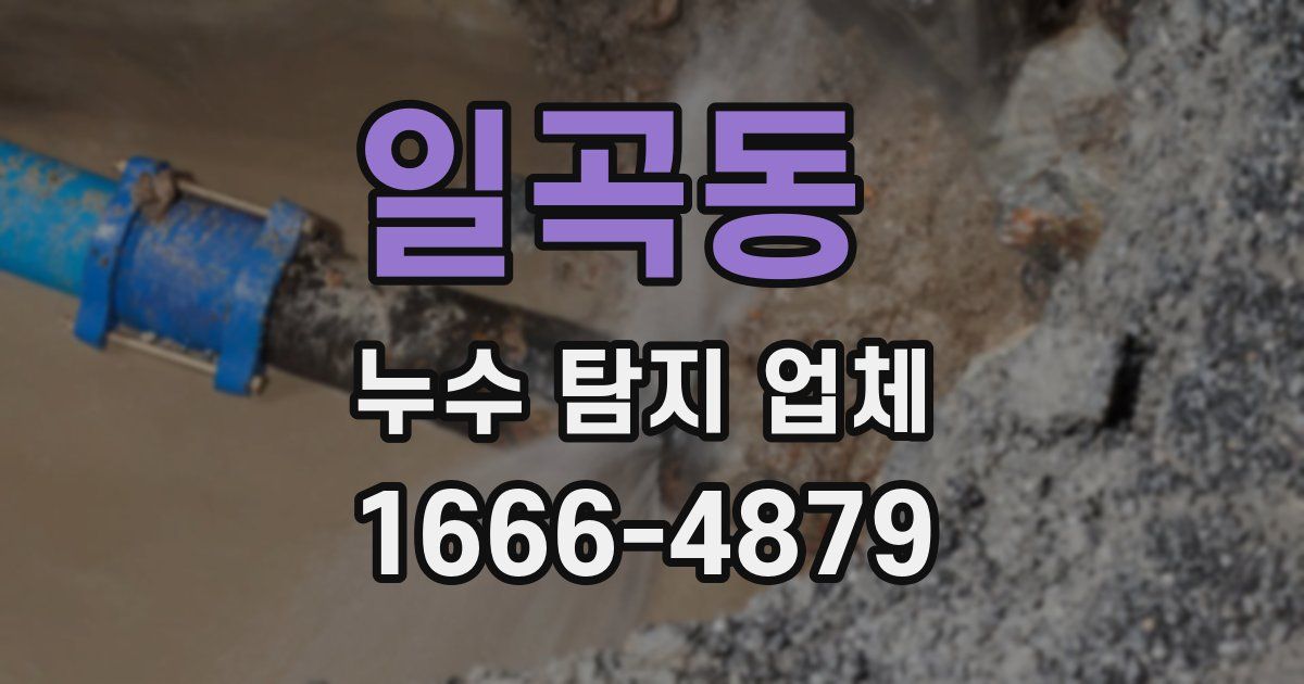 일곡동 누수 탐지 업체