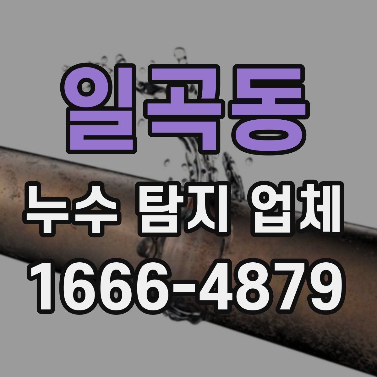 일곡동 누수 탐지 업체