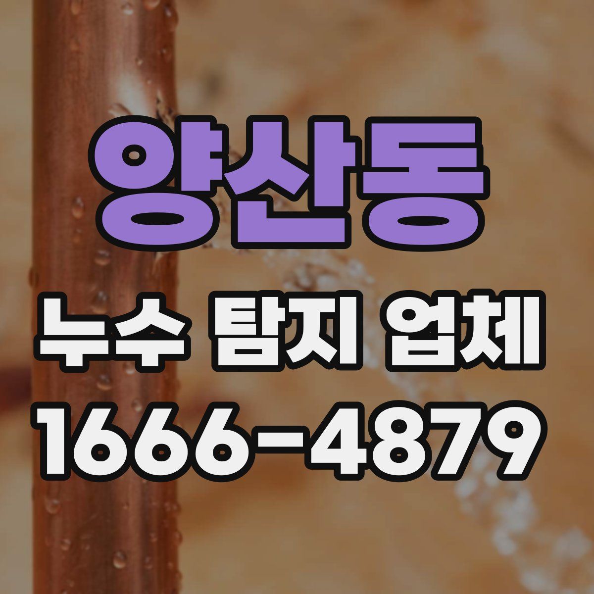양산동 누수 탐지 업체