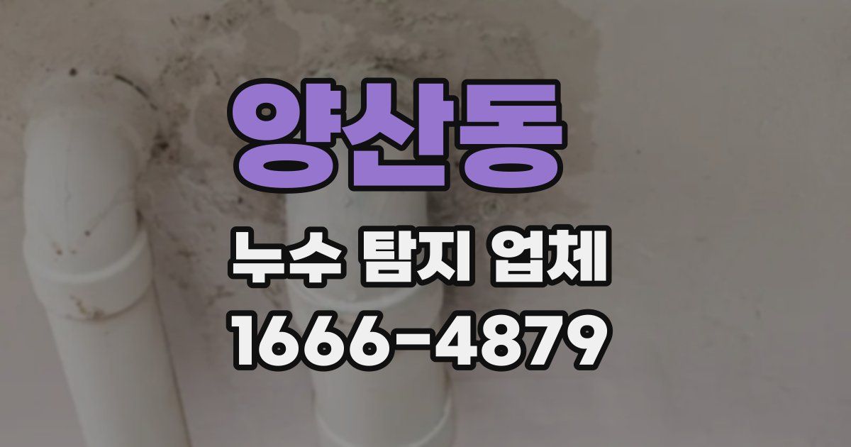 양산동 누수 탐지 업체