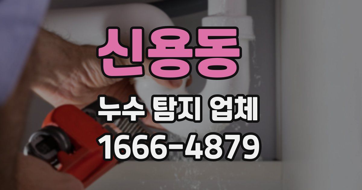 신용동 누수 탐지 업체