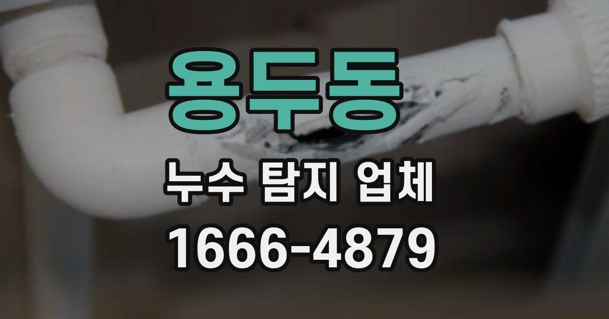 용두동 누수 탐지 업체