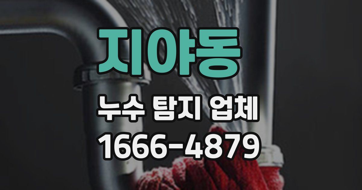 지야동 누수 탐지 업체