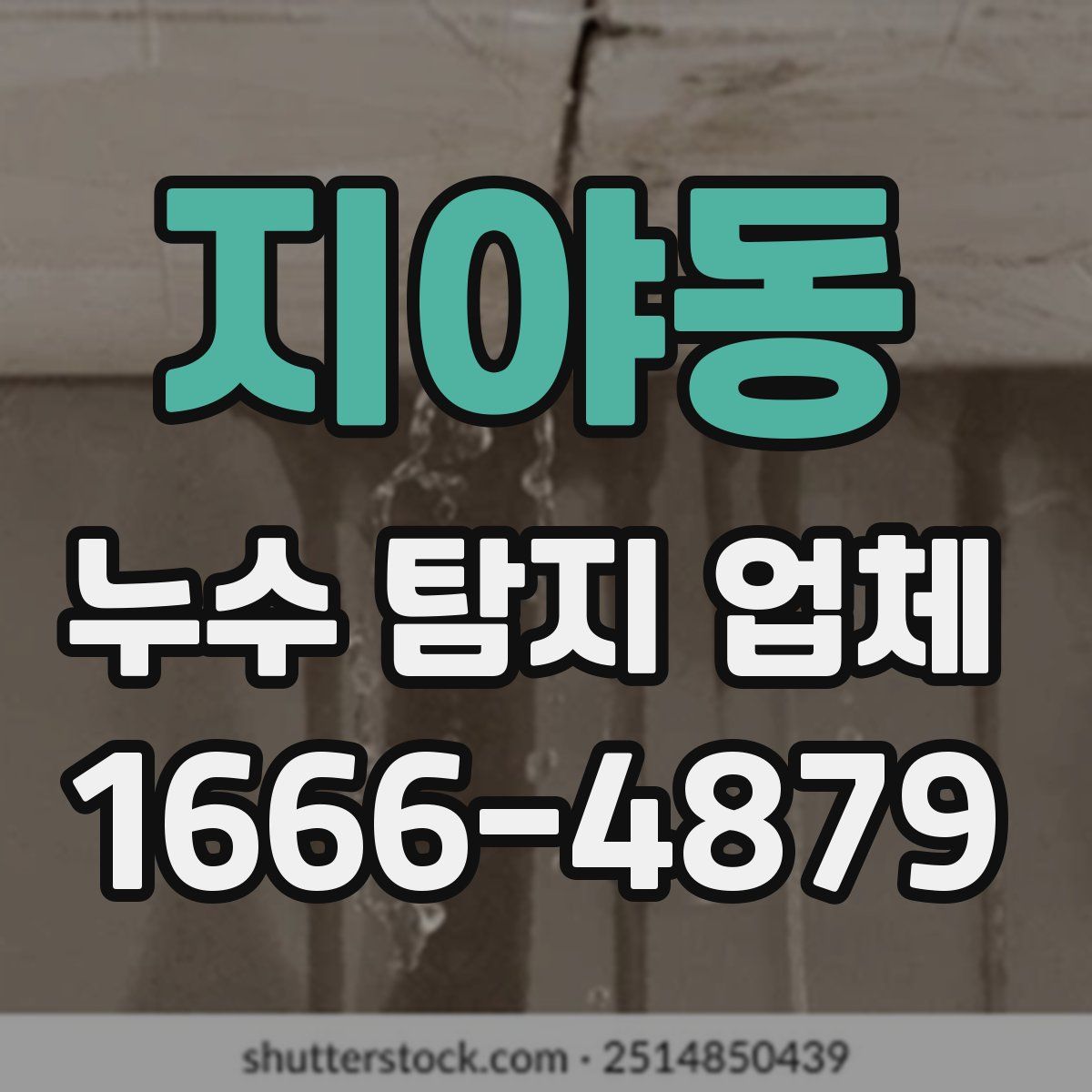 지야동 누수 탐지 업체