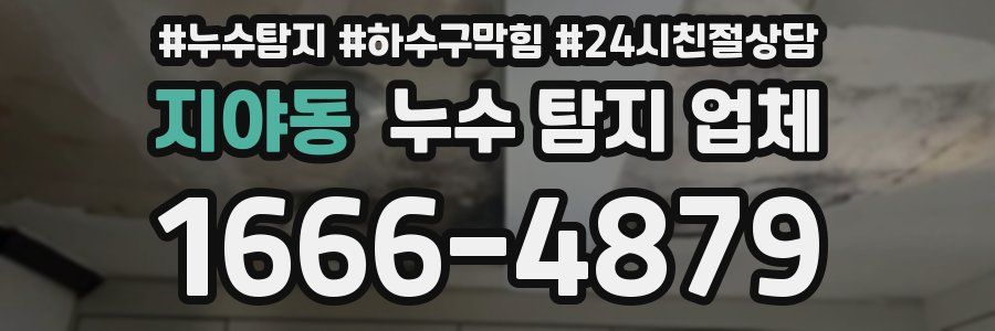 지야동 누수 탐지 업체
