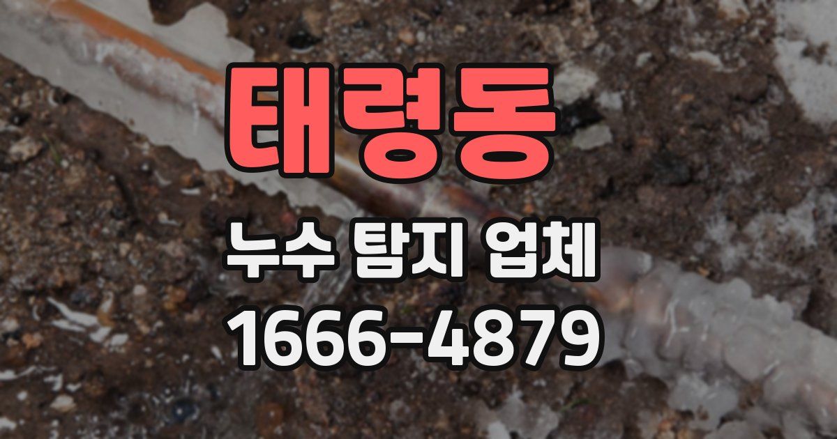 태령동 누수 탐지 업체