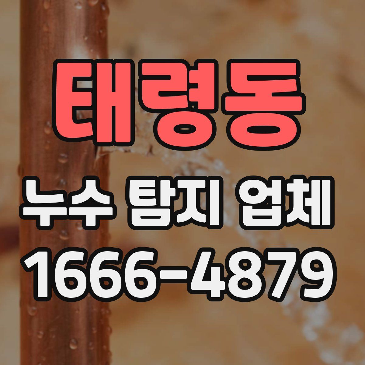 태령동 누수 탐지 업체