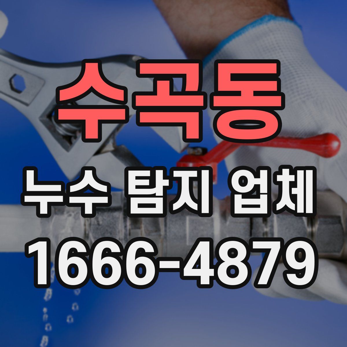수곡동 누수 탐지 업체