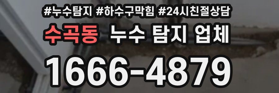 수곡동 누수 탐지 업체