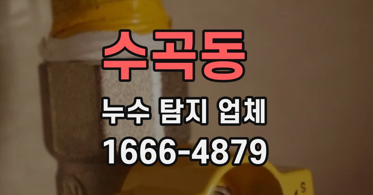 수곡동 누수 탐지 업체