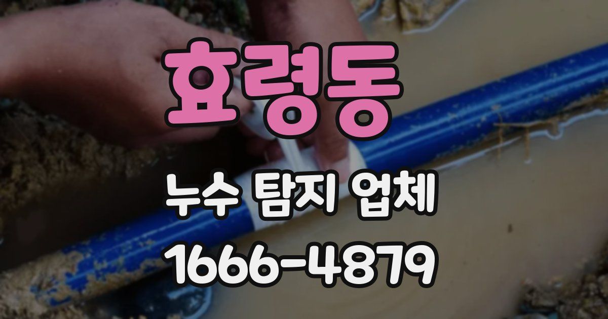 효령동 누수 탐지 업체