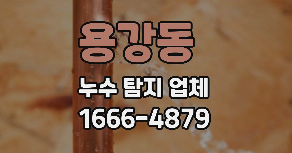 용강동 누수 탐지 업체