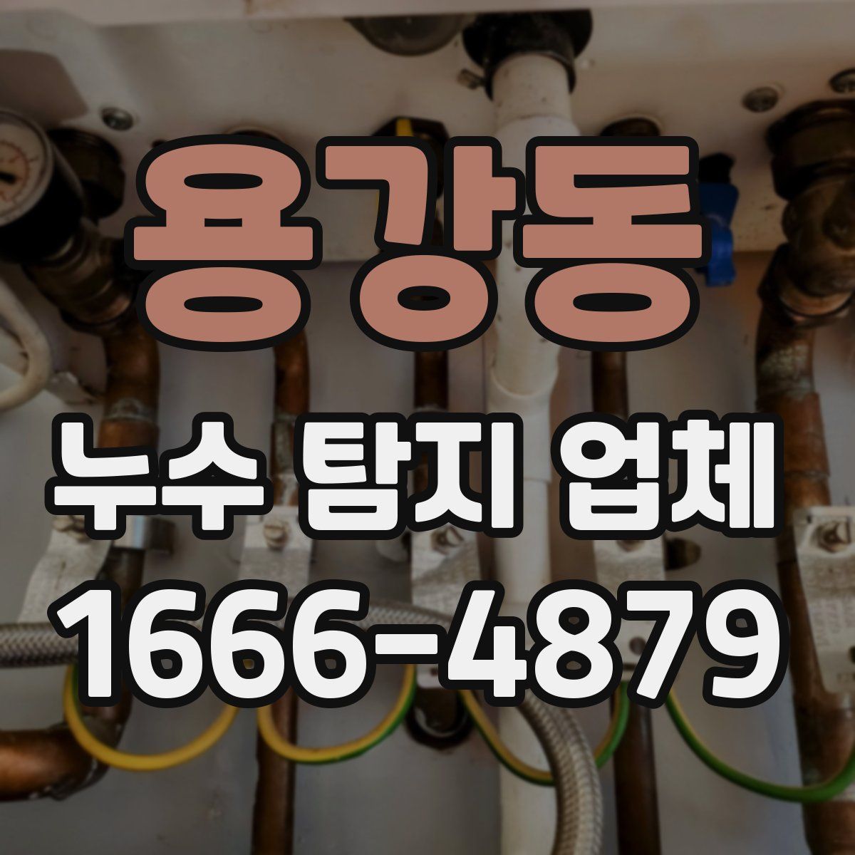 용강동 누수 탐지 업체