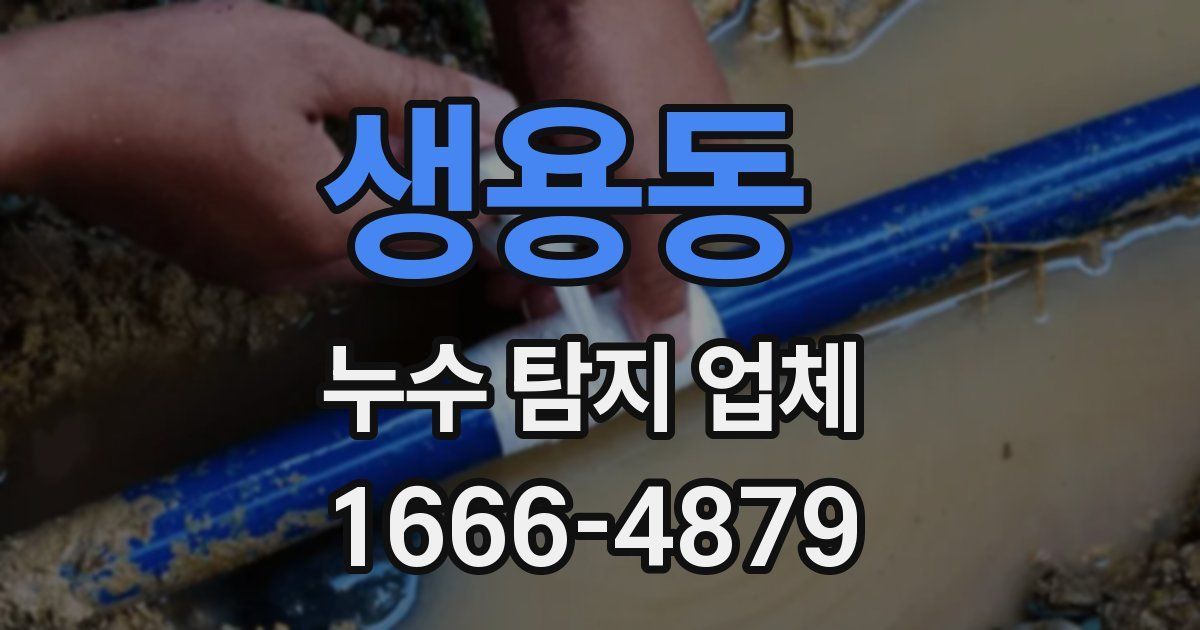 생용동 누수 탐지 업체