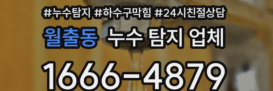 월출동 누수 탐지 업체