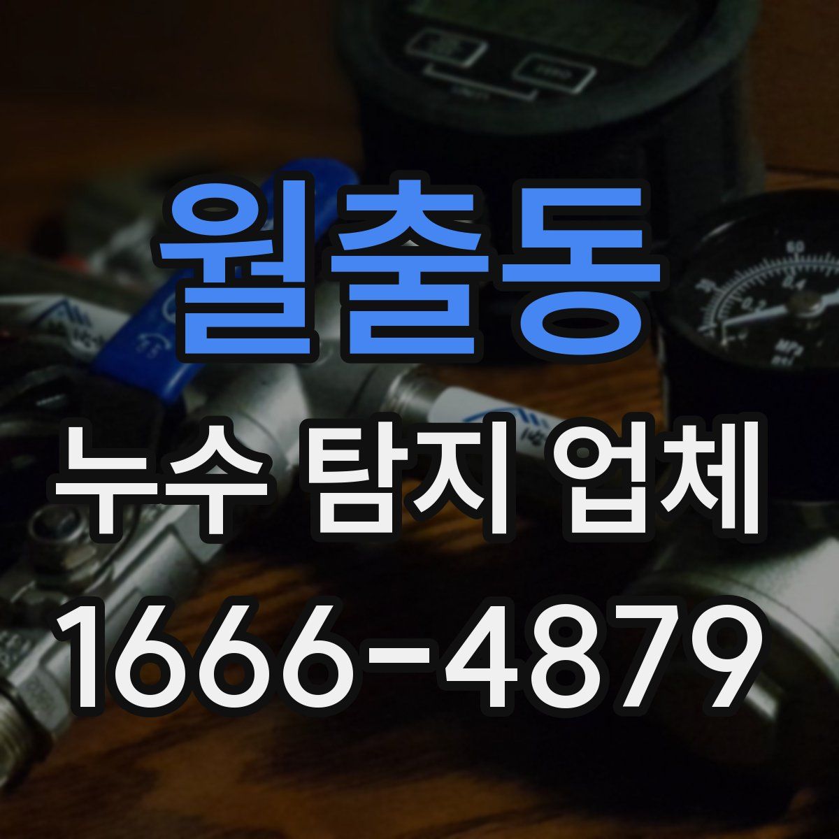월출동 누수 탐지 업체