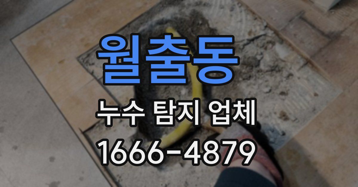 월출동 누수 탐지 업체