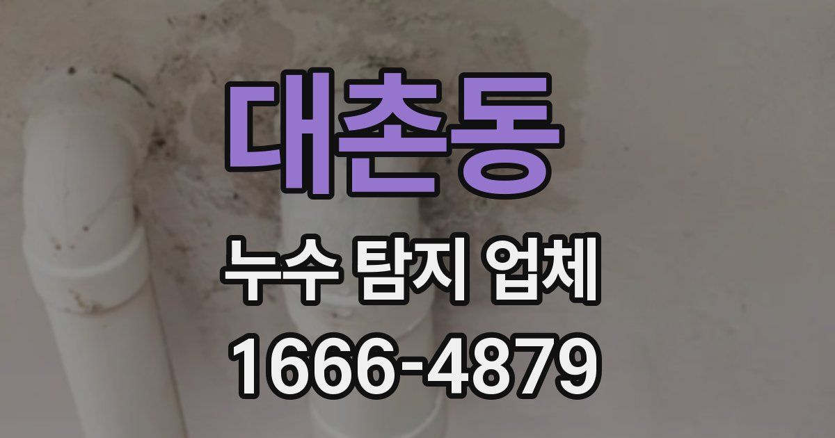 대촌동 누수 탐지 업체