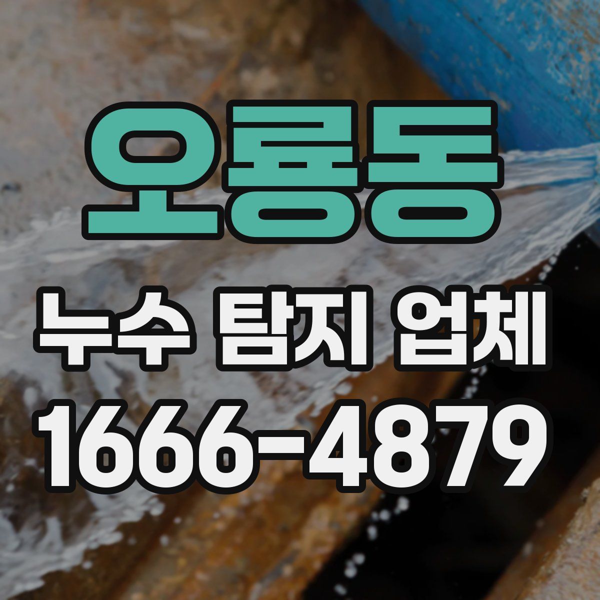 오룡동 누수 탐지 업체