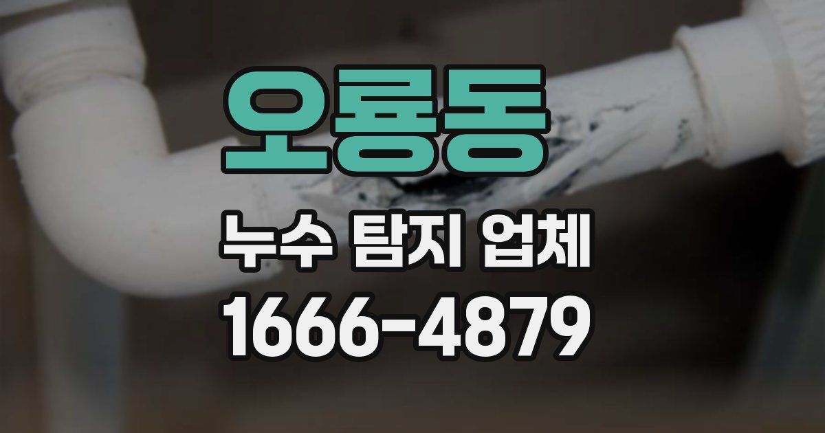 오룡동 누수 탐지 업체