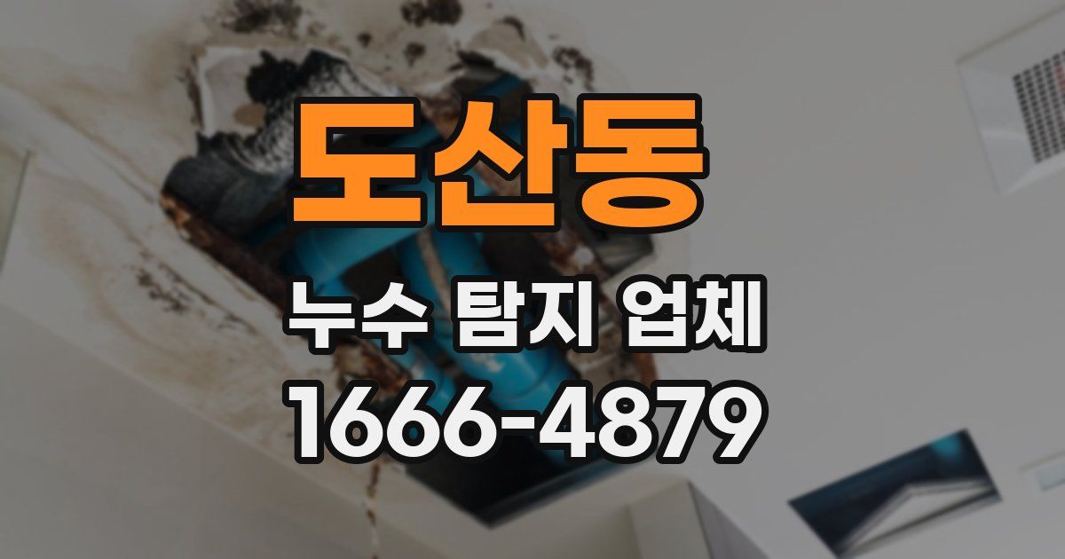 도산동 누수 탐지 업체
