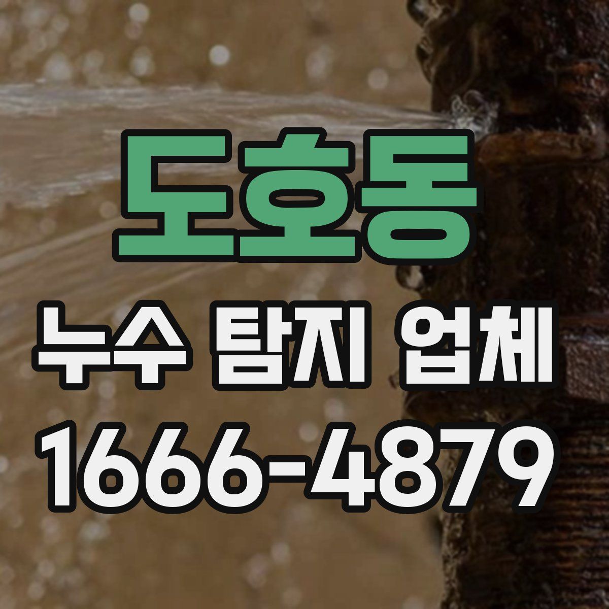 도호동 누수 탐지 업체