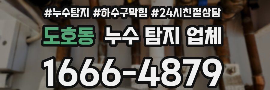 도호동 누수 탐지 업체