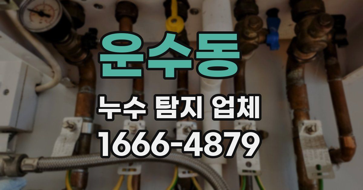 운수동 누수 탐지 업체
