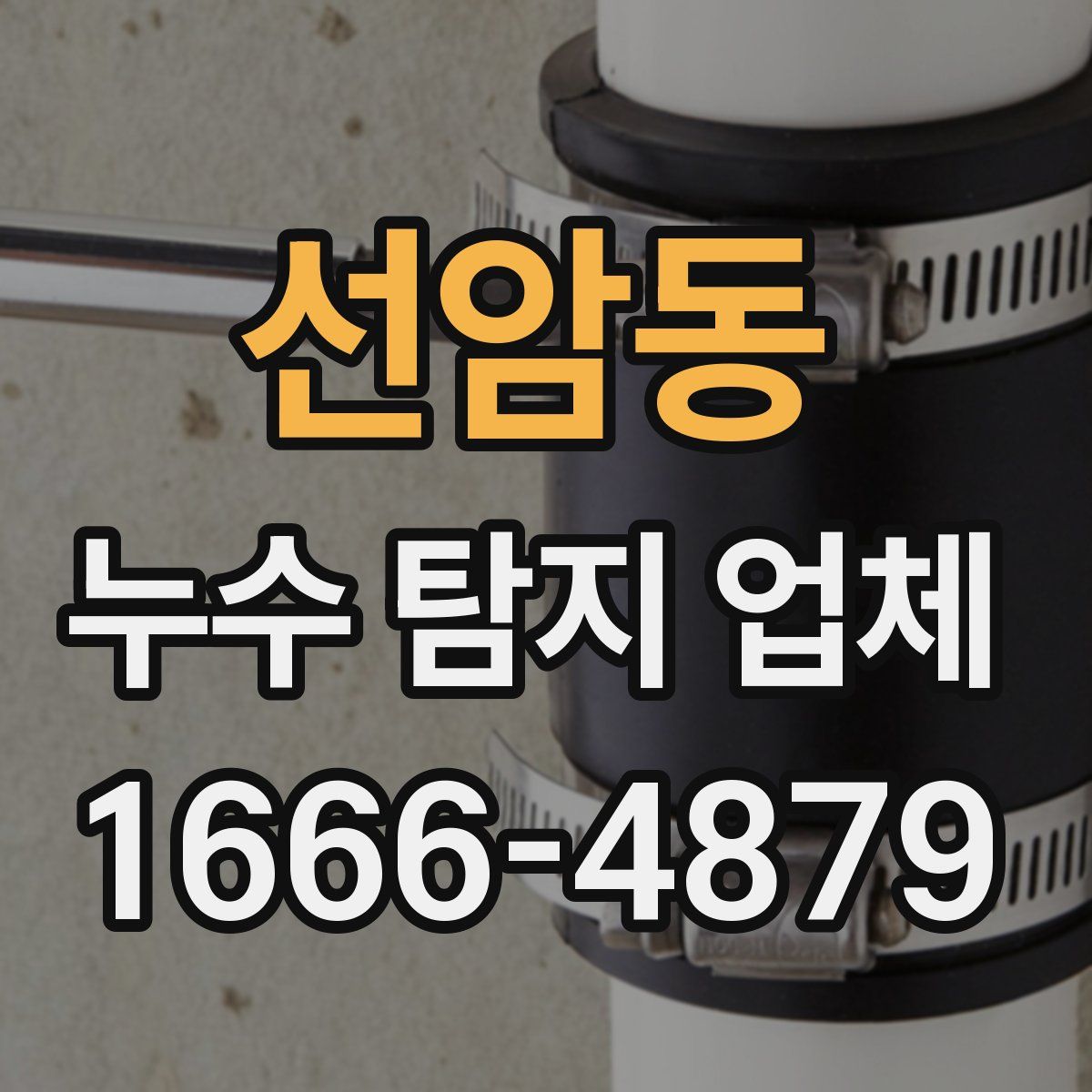 선암동 누수 탐지 업체
