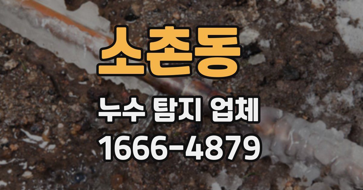 소촌동 누수 탐지 업체