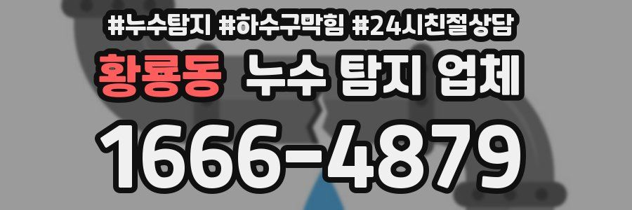 황룡동 누수 탐지 업체